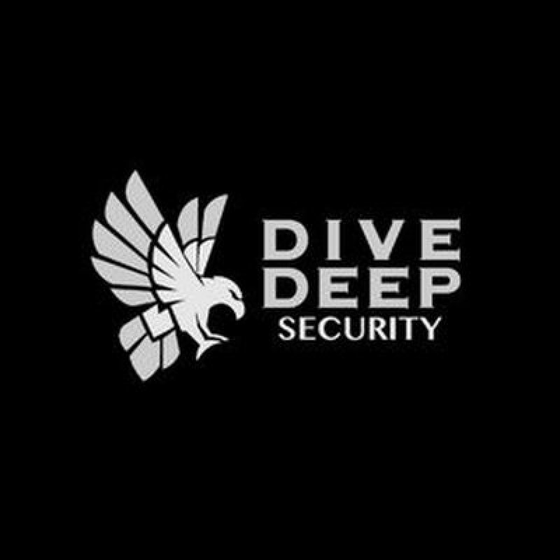 divedeepsecurity channel